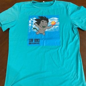 Medium* Dragon Ball Z/Nirvana’s Nevermind Album Cover Brand New